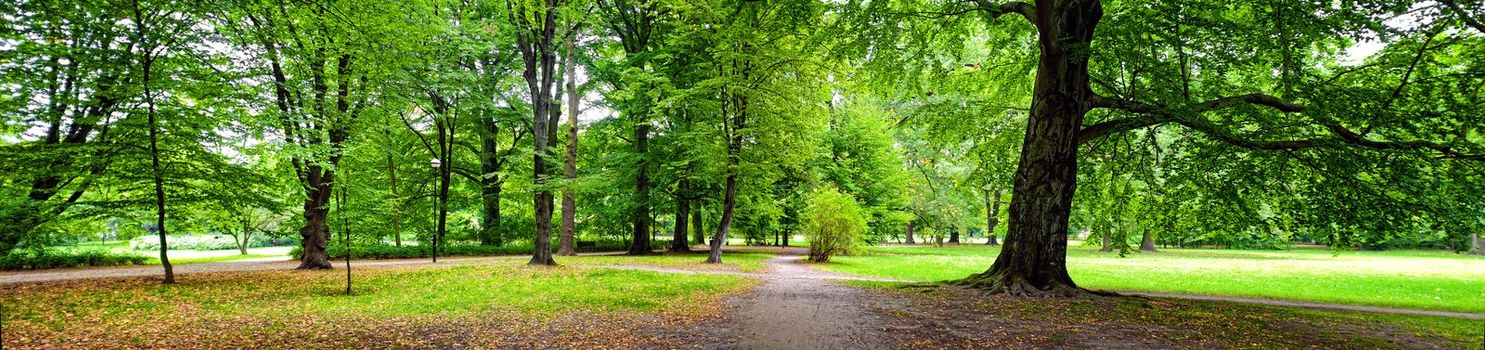 Park in autumn time - panoramic view