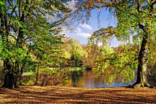 Autumnal park