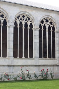 Red and pink roses in the inner yard of Campo Santo in Pisa
