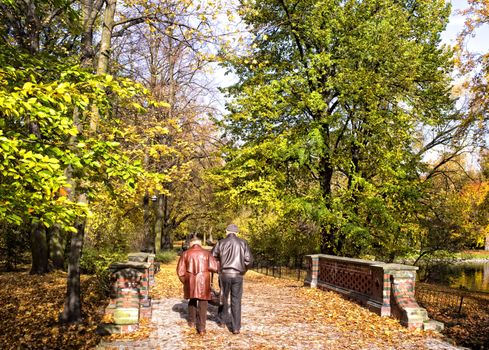 Senior couple in the park sitting on the bench