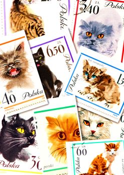 cats on collage of Polish postage stamps