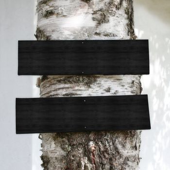 Blank Black Wooden Signs on a Tree