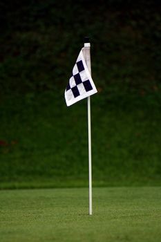 Hole Flag on a Practice Green