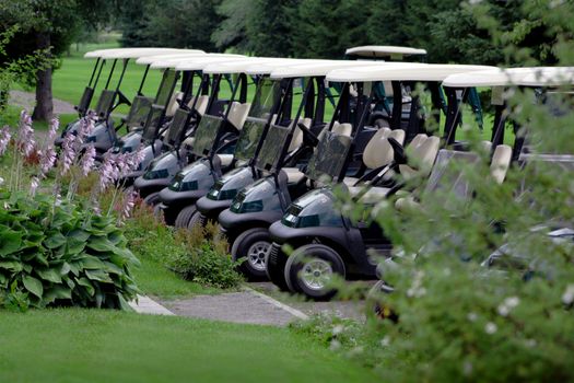 Parked Golf Carts at the Club House