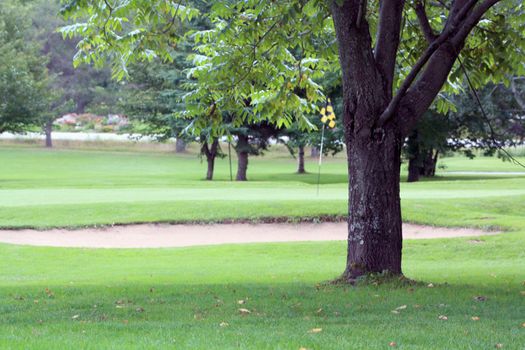 View of a golf hole