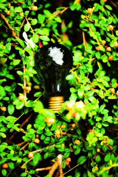 Light bulb held in human palm