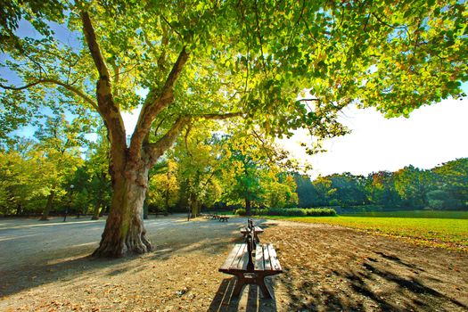 Park in fall time