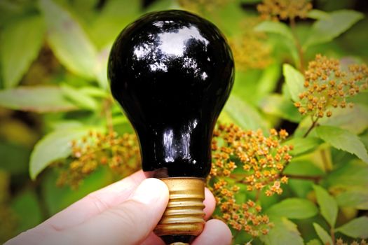 Light bulb held in human palm