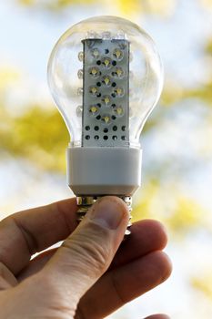 Light bulb held in human palm