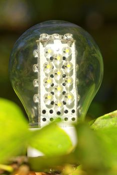 Light bulb held in human palm