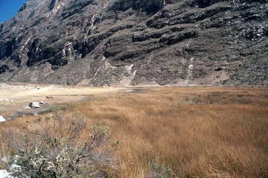 Withered field by a stony abrupt mountain, in Peru, South America