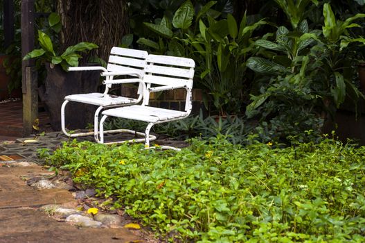 Two vintage chairs in garden