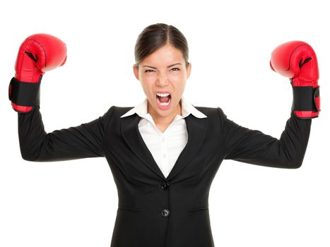 Boxing gloves business woman angry - business concept showing aggressive female businessperson flexing muscles wearing boxing gloves isolated on white background. Mad multiracial businesswoman.