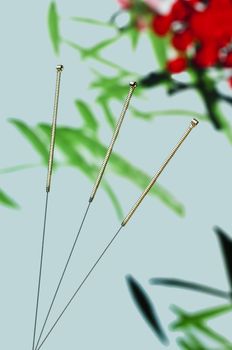 acupuncture needle