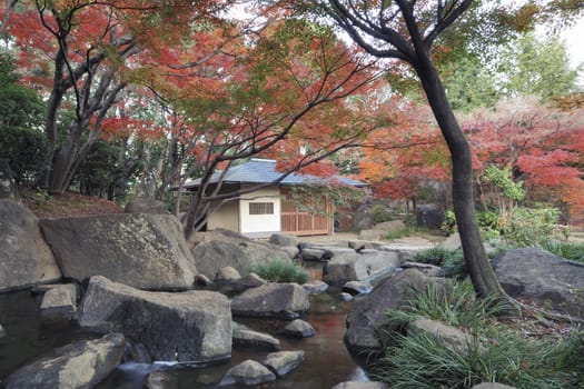 scenic garden in Tokyo by autumn time with small hut, Japanese maple trees and flowing water foreground