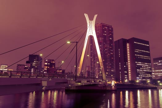 night cityscape with suspension bridge in Tokyo
