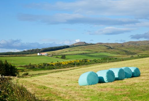 Row of plastic wrapped hay bales on a field with farm in background