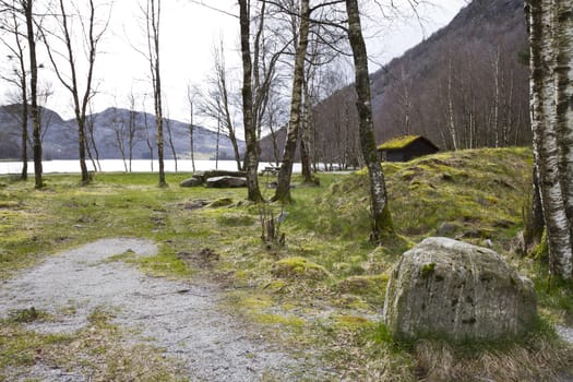 trees with grassland and mountains in background