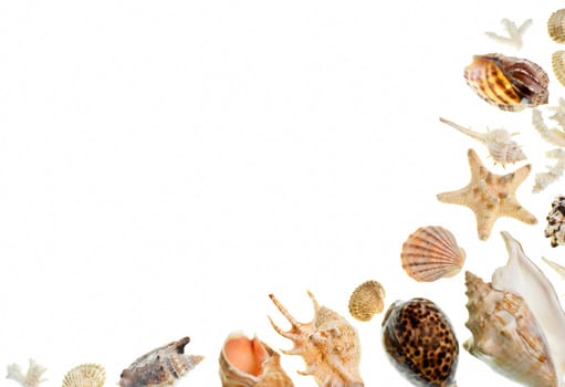 Heap of shells and pebbles on white background