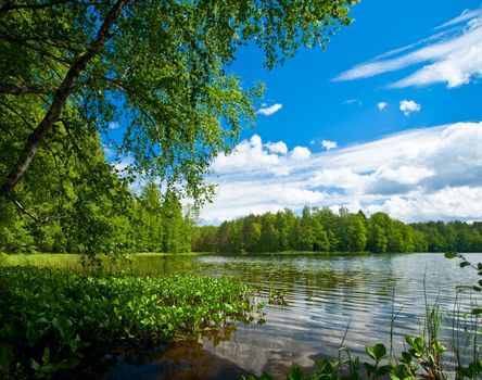 Summer day at remote forest lake