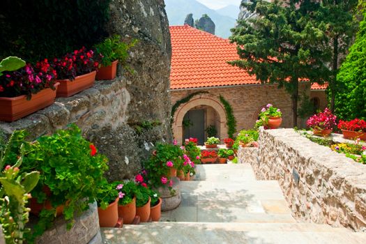 Potted flowers along the stairs