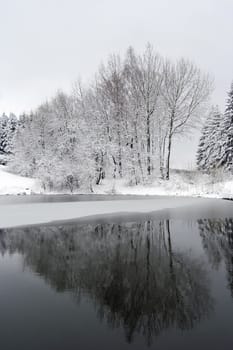 Shot of the winter trees by  lake