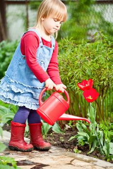 Little girl watering red tulip with red watering can