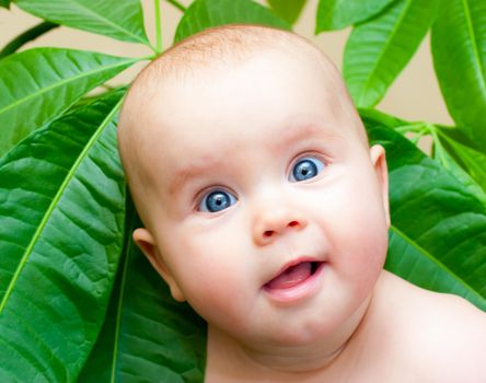 Cute little baby girl with green leaves