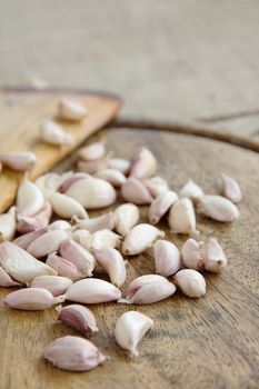 close up image of garlic