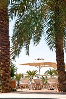 Beach chairs and umbrellas to relax by the pool in a palm grove, the fragment