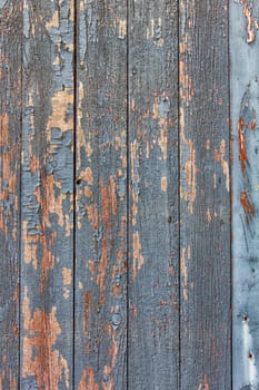 Weathered Clapboard Barn Siding Backdrop or Background on Vertical