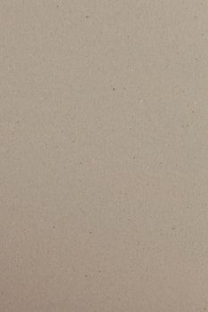 Texture of rough blank cardboard for background 