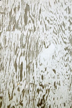 pattern of old white paint on weathered board