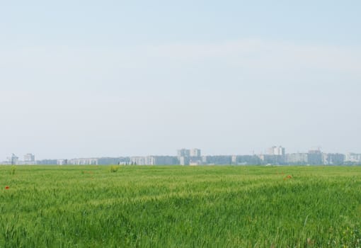 town behind wheat field