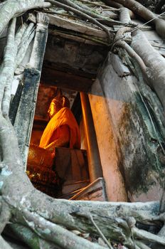 Bodhi tree cover church at Kay Bang Kung temple, Thailand