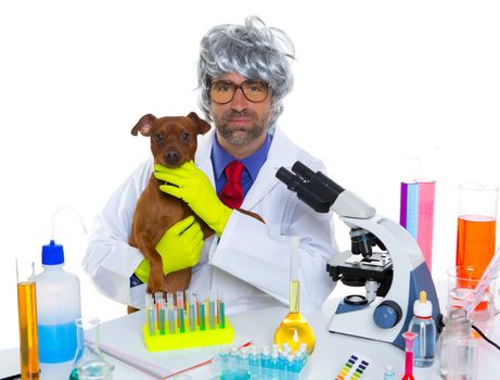 Crazy nerd scientist silly veterinary man with dog in chemical laboratory