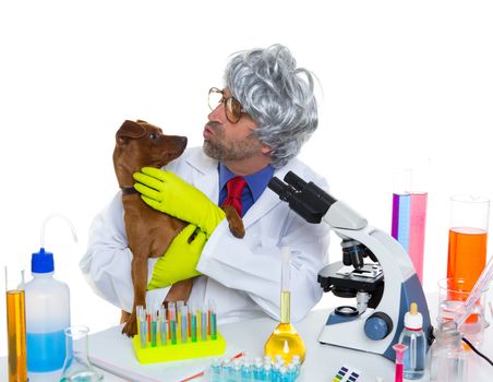 Crazy nerd scientist silly veterinary man with dog in chemical laboratory