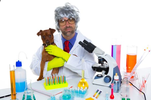 Crazy nerd scientist silly veterinary man with dog in chemical laboratory