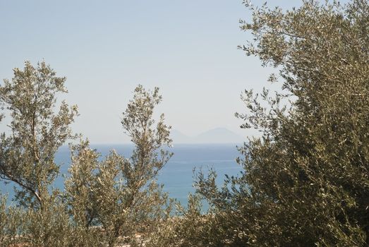 view of the Aeolian Islands among olive trees from the Brolo, Messina, Sicily