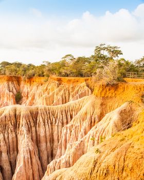 Wonderful orange colors at sunset in Marafa Canyon - also said The Hell's Kitchen. Malindi region, Kenya