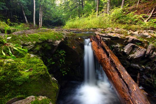 Waterfall on the Union River in Porcupine Mountains Wilderness State Park.