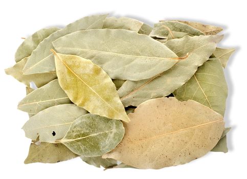 Heap bay leaves on a white background