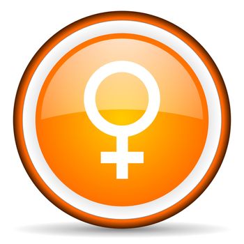 sex orange glossy circle icon on white background