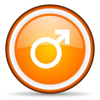 sex orange glossy circle icon on white background