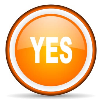 yes orange glossy circle icon on white background