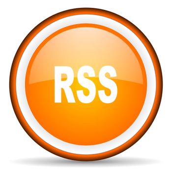 rss orange glossy circle icon on white background