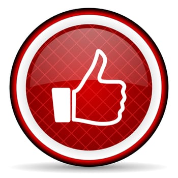 thumb up red glossy icon on white background