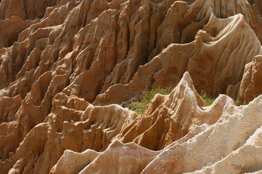 Sandstone cliffs detail in Gale beach, Comporta , Portugal