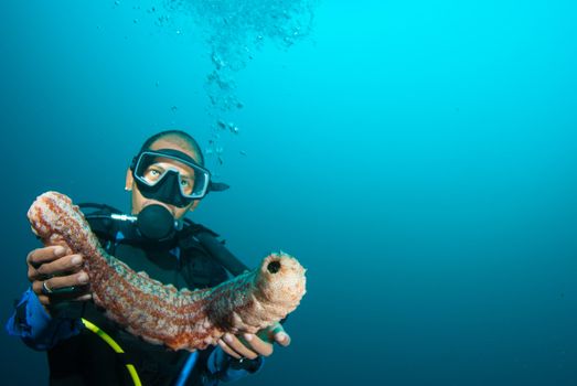 Scuba diver holding up a sea cucumber (Holothuroidea)