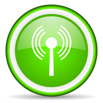wifi green glossy icon on white background